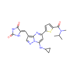 CC(C)N(C)C(=O)c1ccc(-c2cc(NC3CC3)n3ncc(/C=C4\NC(=O)NC4=O)c3n2)s1 ZINC000144902345