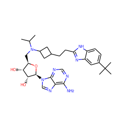 CC(C)N(C[C@H]1O[C@@H](n2cnc3c(N)ncnc32)[C@H](O)[C@@H]1O)C1CC(CCc2nc3cc(C(C)(C)C)ccc3[nH]2)C1 ZINC000098043806