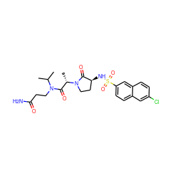 CC(C)N(CCC(N)=O)C(=O)[C@H](C)N1CC[C@H](NS(=O)(=O)c2ccc3cc(Cl)ccc3c2)C1=O ZINC000014950014