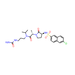 CC(C)N(CCCNC(N)=O)C(=O)[C@H](C)N1CC[C@H](NS(=O)(=O)c2ccc3cc(Cl)ccc3c2)C1=O ZINC000014950054