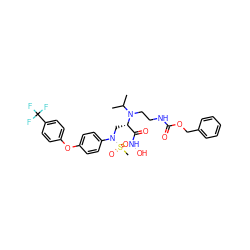 CC(C)N(CCNC(=O)OCc1ccccc1)[C@@H](CN(c1ccc(Oc2ccc(C(F)(F)F)cc2)cc1)S(C)(=O)=O)C(=O)NO ZINC000029039844