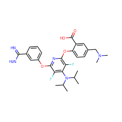 CC(C)N(c1c(F)c(Oc2cccc(C(=N)N)c2)nc(Oc2ccc(CN(C)C)cc2C(=O)O)c1F)C(C)C ZINC000028570437