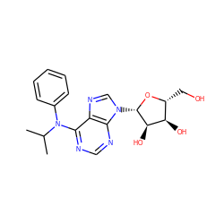 CC(C)N(c1ccccc1)c1ncnc2c1ncn2[C@@H]1O[C@H](CO)[C@@H](O)[C@H]1O ZINC000005314635