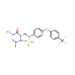 CC(C)N[C@@H](CN(c1ccc(Oc2ccc(C(F)(F)F)cc2)cc1)S(C)(=O)=O)C(=O)NO ZINC000029039703