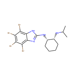 CC(C)N[C@@H]1CCCC[C@@H]1Nc1nc2c(Br)c(Br)c(Br)c(Br)c2[nH]1 ZINC000143526261