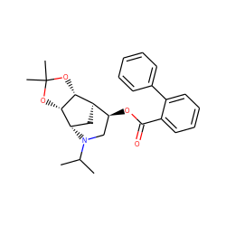 CC(C)N1C[C@H](OC(=O)c2ccccc2-c2ccccc2)[C@H]2C[C@H]1[C@@H]1OC(C)(C)O[C@@H]12 ZINC000254114637