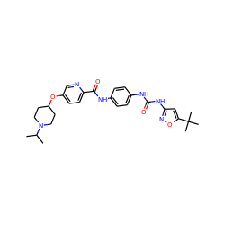 CC(C)N1CCC(Oc2ccc(C(=O)Nc3ccc(NC(=O)Nc4cc(C(C)(C)C)on4)cc3)nc2)CC1 ZINC000095560547