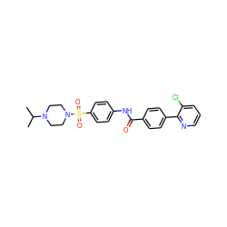 CC(C)N1CCN(S(=O)(=O)c2ccc(NC(=O)c3ccc(-c4ncccc4Cl)cc3)cc2)CC1 ZINC000147889005