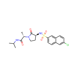 CC(C)NC(=O)[C@H](C)N1CC[C@H](NS(=O)(=O)c2ccc3cc(Cl)ccc3c2)C1=O ZINC000014949941