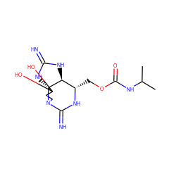 CC(C)NC(=O)OC[C@@H]1NC(=N)N2CCC(O)(O)[C@@]23NC(=N)N[C@@H]13 ZINC000145721997