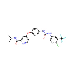 CC(C)NC(=O)c1cc(Oc2ccc(NC(=O)Nc3ccc(Cl)c(C(F)(F)F)c3)cc2)ccn1 ZINC000013589530