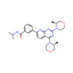 CC(C)NC(=O)c1cccc(-c2ccc3c(N4CCOC[C@@H]4C)nc(N4CCOC[C@@H]4C)nc3n2)c1 ZINC000139634877