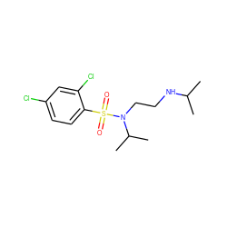 CC(C)NCCN(C(C)C)S(=O)(=O)c1ccc(Cl)cc1Cl ZINC000002582197