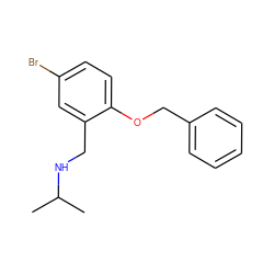 CC(C)NCc1cc(Br)ccc1OCc1ccccc1 ZINC000004821209