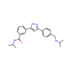 CC(C)NCc1ccc(-c2cc(-c3cccc(C(=O)NC(C)C)c3)[nH]n2)cc1 ZINC000066065869