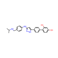 CC(C)NCc1ccc(Nc2cc(-c3ccc(-c4ccc(O)cc4O)cc3)[nH]n2)cc1 ZINC000006718828