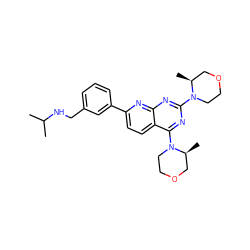 CC(C)NCc1cccc(-c2ccc3c(N4CCOC[C@@H]4C)nc(N4CCOC[C@@H]4C)nc3n2)c1 ZINC000139557036