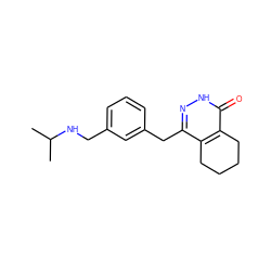 CC(C)NCc1cccc(Cc2n[nH]c(=O)c3c2CCCC3)c1 ZINC000167848450