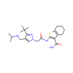 CC(C)NCc1cn(CC(=O)Nc2sc3c(c2C(N)=O)CCCC3)nc1C(C)(C)C ZINC000064548611