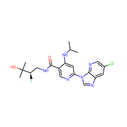 CC(C)Nc1cc(-n2cnc3cc(Cl)cnc32)ncc1C(=O)NC[C@@H](F)C(C)(C)O ZINC001772636763