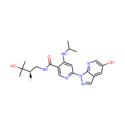 CC(C)Nc1cc(-n2ncc3cc(O)cnc32)ncc1C(=O)NC[C@@H](F)C(C)(C)O ZINC001772588124