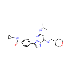 CC(C)Nc1cc(NCC2CCOCC2)c2ncc(-c3ccc(C(=O)NC4CC4)cc3)n2n1 ZINC000299864141