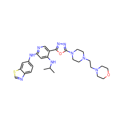 CC(C)Nc1cc(Nc2ccc3ncsc3c2)ncc1-c1nnc(N2CCN(CCN3CCOCC3)CC2)o1 ZINC000223435855