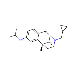 CC(C)Nc1ccc2c(c1)[C@@]1(C)CCN(CC3CC3)[C@@H](C2)[C@@H]1C ZINC000029550081