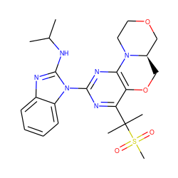 CC(C)Nc1nc2ccccc2n1-c1nc2c(c(C(C)(C)S(C)(=O)=O)n1)OC[C@@H]1COCCN21 ZINC000221366249