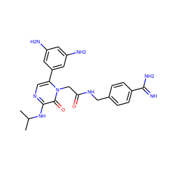 CC(C)Nc1ncc(-c2cc(N)cc(N)c2)n(CC(=O)NCc2ccc(C(=N)N)cc2)c1=O ZINC000028964124