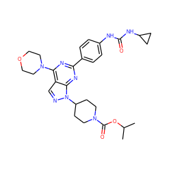 CC(C)OC(=O)N1CCC(n2ncc3c(N4CCOCC4)nc(-c4ccc(NC(=O)NC5CC5)cc4)nc32)CC1 ZINC000049785007