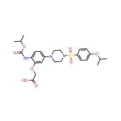 CC(C)OC(=O)Nc1ccc(N2CCN(S(=O)(=O)c3ccc(OC(C)C)cc3)CC2)cc1OCC(=O)O ZINC001772576321