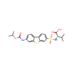 CC(C)OC(=O)Nc1ccc2c(c1)sc1cc(S(=O)(=O)N[C@H](C(=O)O)C(C)C)ccc12 ZINC000043120317