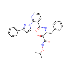 CC(C)ONC(=O)C(=O)[C@@H](Cc1ccccc1)NC(=O)c1cccnc1-n1ccc(-c2ccccc2)n1 ZINC000117721259