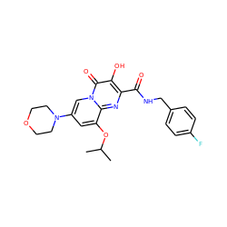 CC(C)Oc1cc(N2CCOCC2)cn2c(=O)c(O)c(C(=O)NCc3ccc(F)cc3)nc12 ZINC000064526911