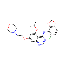 CC(C)Oc1cc(OCCN2CCOCC2)cc2ncnc(Nc3c(Cl)ccc4c3OCO4)c12 ZINC000014949463