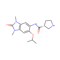 CC(C)Oc1cc2c(cc1NC(=O)[C@@H]1CCNC1)n(C)c(=O)n2C ZINC000653827656