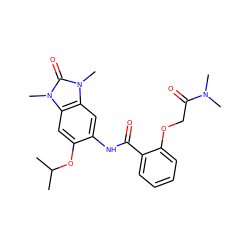 CC(C)Oc1cc2c(cc1NC(=O)c1ccccc1OCC(=O)N(C)C)n(C)c(=O)n2C ZINC000653827659