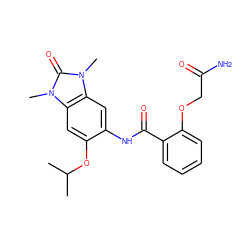 CC(C)Oc1cc2c(cc1NC(=O)c1ccccc1OCC(N)=O)n(C)c(=O)n2C ZINC000653833437