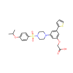 CC(C)Oc1ccc(S(=O)(=O)N2CCN(c3cc(OCC(=O)O)cc(-c4cccs4)c3)CC2)cc1 ZINC001772656915