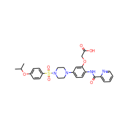 CC(C)Oc1ccc(S(=O)(=O)N2CCN(c3ccc(NC(=O)c4ccccn4)c(OCC(=O)O)c3)CC2)cc1 ZINC001772643070