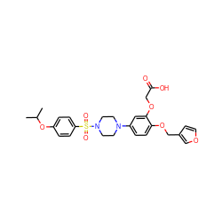 CC(C)Oc1ccc(S(=O)(=O)N2CCN(c3ccc(OCc4ccoc4)c(OCC(=O)O)c3)CC2)cc1 ZINC001772649152