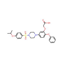 CC(C)Oc1ccc(S(=O)(=O)N2CCN(c3ccc(Oc4ccccc4)c(OCC(=O)O)c3)CC2)cc1 ZINC001772581440