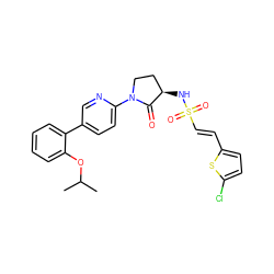 CC(C)Oc1ccccc1-c1ccc(N2CC[C@@H](NS(=O)(=O)/C=C/c3ccc(Cl)s3)C2=O)nc1 ZINC000028979674