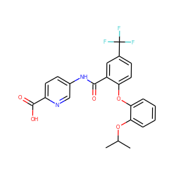 CC(C)Oc1ccccc1Oc1ccc(C(F)(F)F)cc1C(=O)Nc1ccc(C(=O)O)nc1 ZINC000143206875