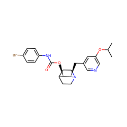 CC(C)Oc1cncc(C[C@@H]2[C@H](OC(=O)Nc3ccc(Br)cc3)C3CCN2CC3)c1 ZINC000028523466