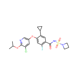 CC(C)Oc1ncc(Oc2cc(F)c(C(=O)NS(=O)(=O)N3CCC3)cc2C2CC2)cc1Cl ZINC000217905108