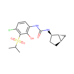 CC(C)S(=O)(=O)c1c(Cl)ccc(NC(=O)N[C@@H]2CC[C@@H]3C[C@H]32)c1O ZINC001772582343