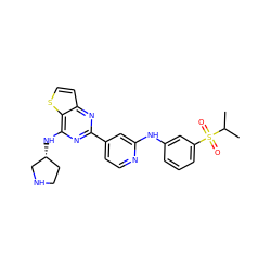 CC(C)S(=O)(=O)c1cccc(Nc2cc(-c3nc(N[C@@H]4CCNC4)c4sccc4n3)ccn2)c1 ZINC000653671278