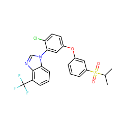 CC(C)S(=O)(=O)c1cccc(Oc2ccc(Cl)c(-n3cnc4c(C(F)(F)F)cccc43)c2)c1 ZINC000045347532